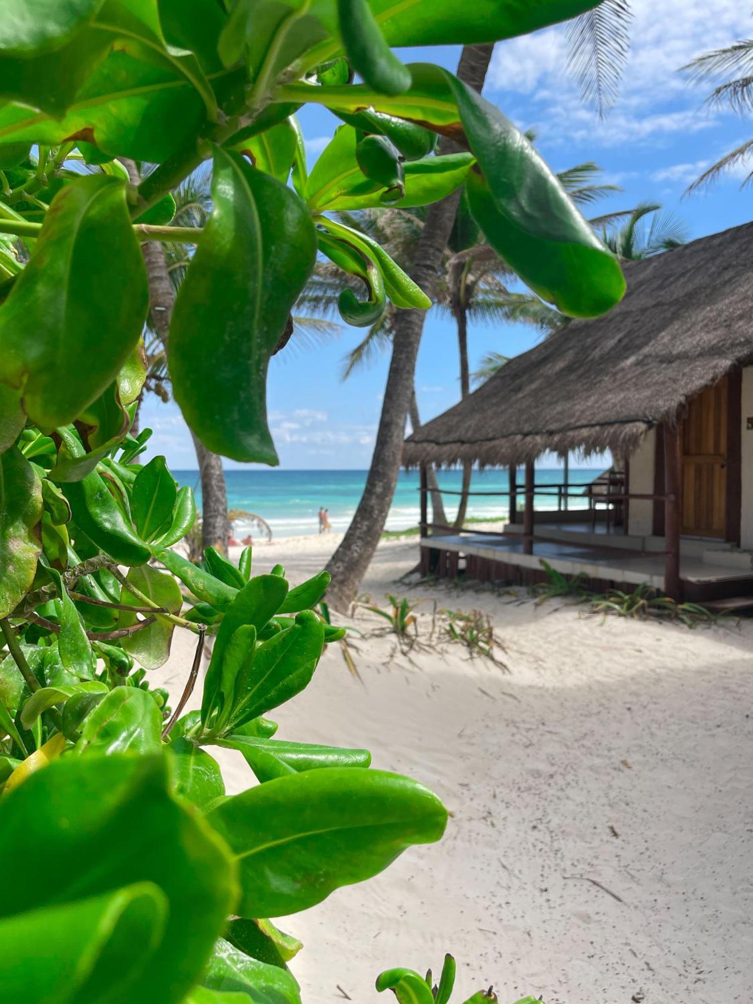 Bt Live Tulum Located At The Party Zone Hotell Eksteriør bilde