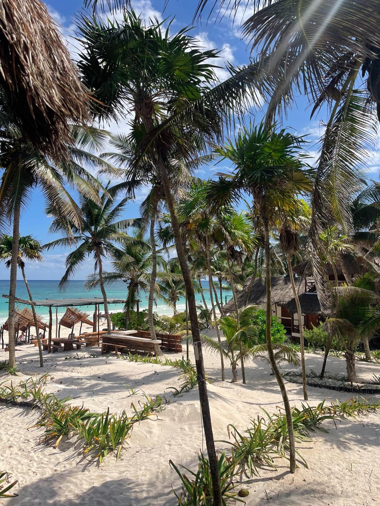 Bt Live Tulum Located At The Party Zone Hotell Eksteriør bilde